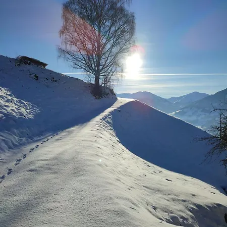 Daire Hinteregghof Hart im Zillertal